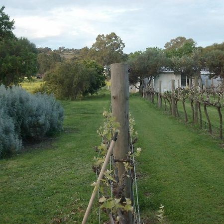 Southern Vales Bed & Breakfast Mclaren Vale Zewnętrze zdjęcie