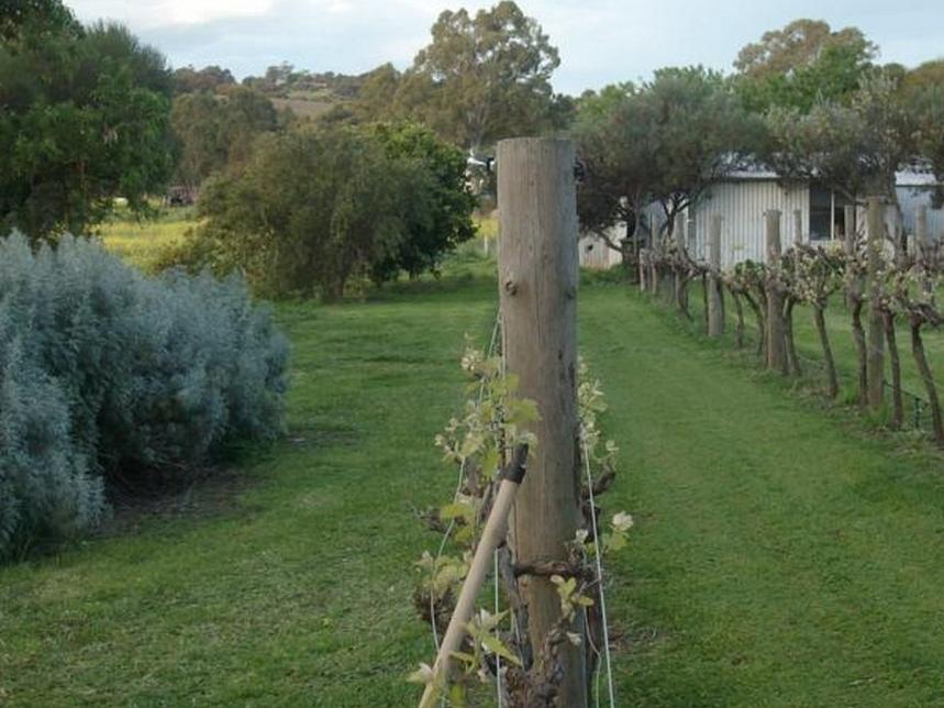 Southern Vales Bed & Breakfast Mclaren Vale Zewnętrze zdjęcie