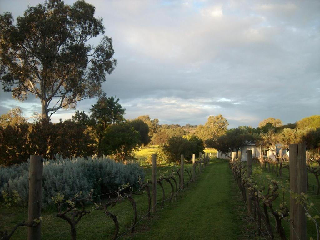 Southern Vales Bed & Breakfast Mclaren Vale Zewnętrze zdjęcie