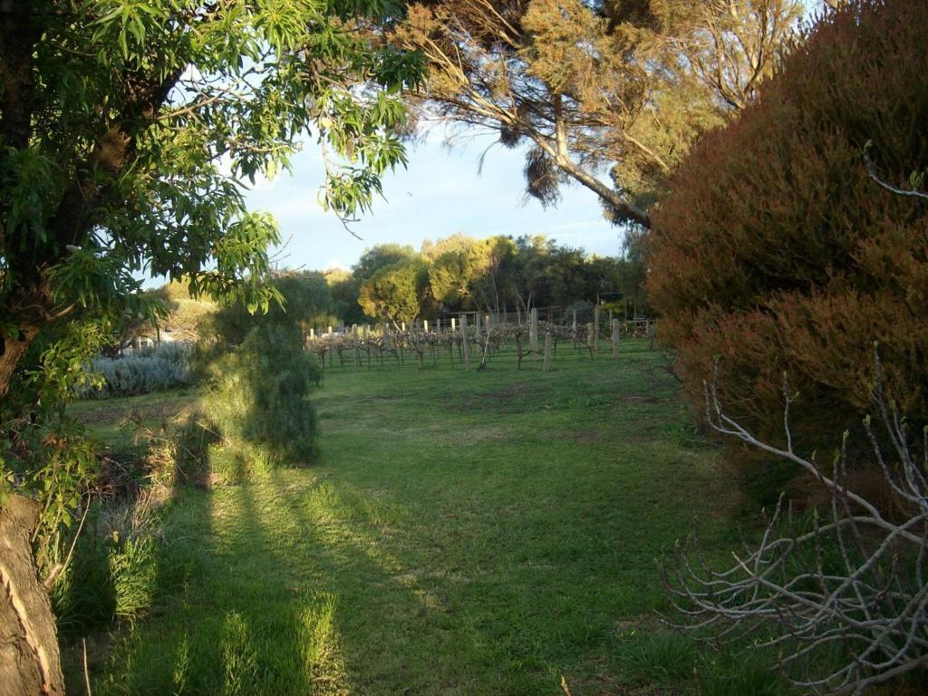 Southern Vales Bed & Breakfast Mclaren Vale Zewnętrze zdjęcie